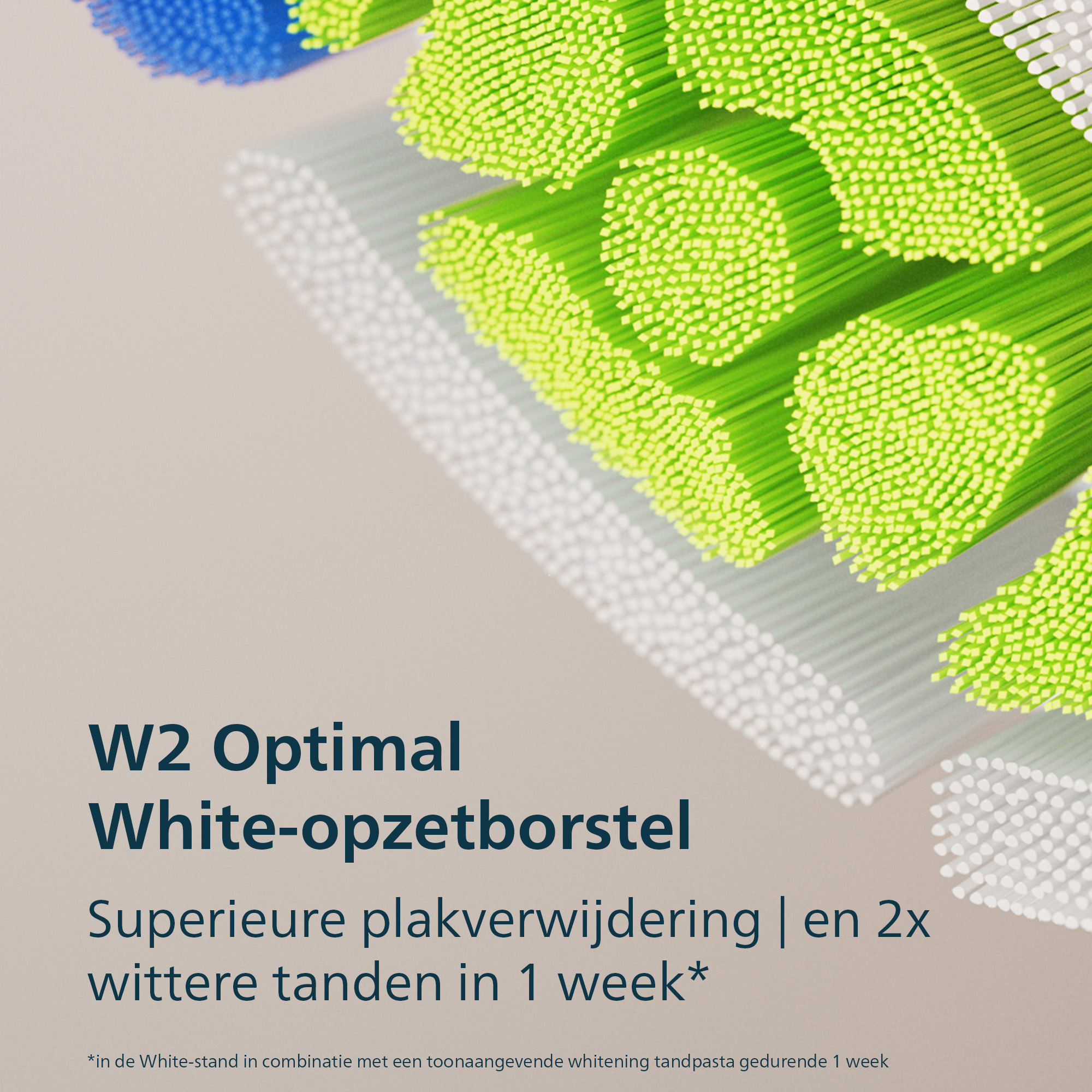 Close-up of a toothbrush head with green and blue bristles. Text: W2 Optimal White-opzetborstel, whiter teeth in 1 week.