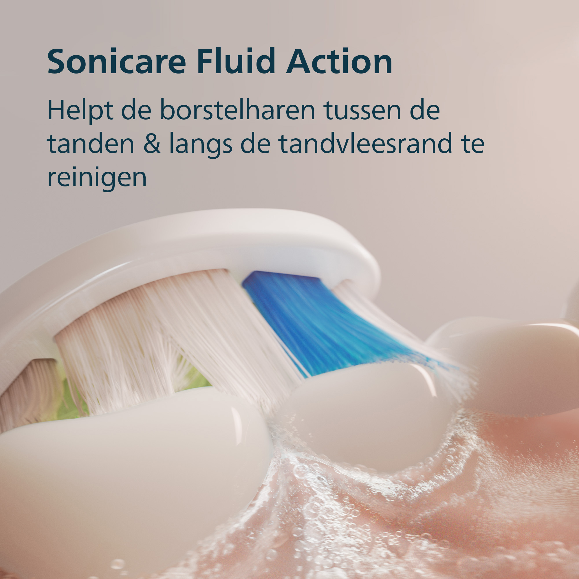 Close-up of a toothbrush head with white and blue bristles cleaning teeth. Text reads: Sonicare Fluid Action.