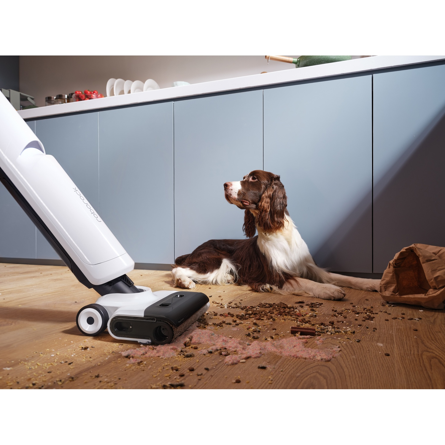 Un aspirapolvere bianco e nero pulisce un pavimento in legno con cibo sparso. Un cane è seduto vicino, guardando in alto. Un sacchetto di carta è a terra.