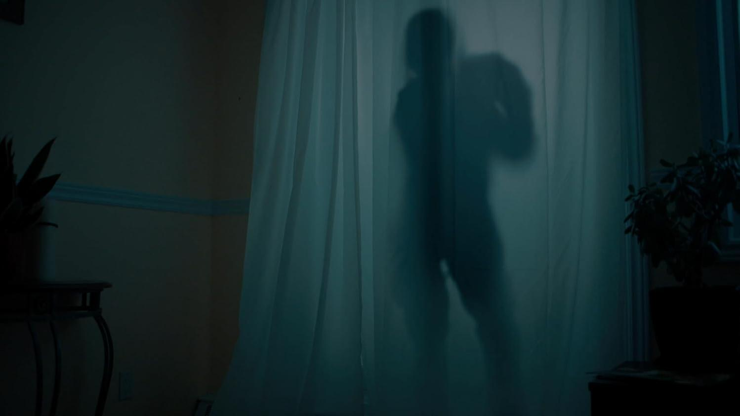 Eine schattenhafte Gestalt steht hinter einem durchsichtigen Vorhang. Der Raum ist schwach beleuchtet, eine Pflanze und ein Tisch sind sichtbar. Schatten dominieren die Szene.