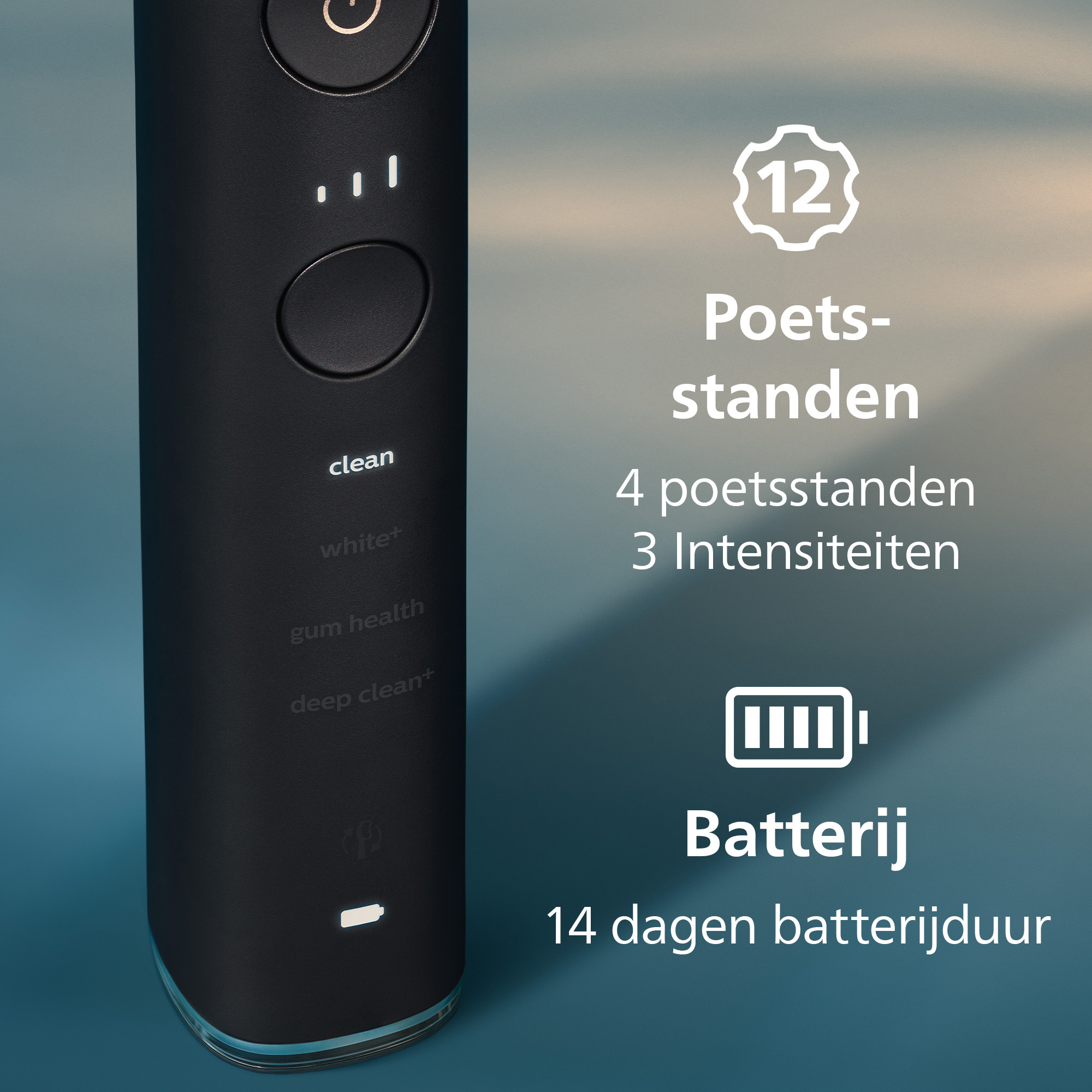 Black electric toothbrush with power and cleaning mode indicators. Text details cleaning modes and battery life.