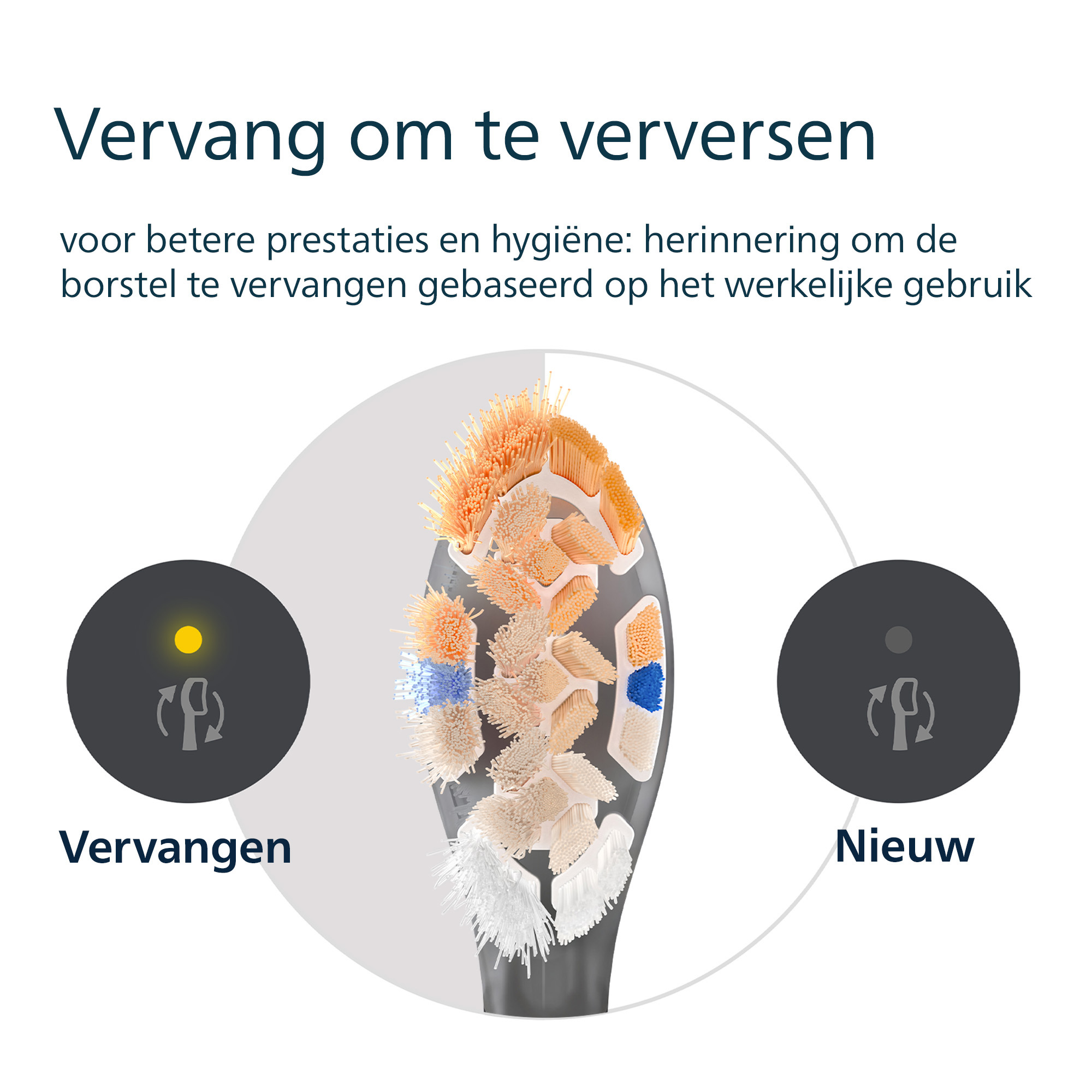 Image shows a toothbrush head with text, suggesting brush replacement. Two circles indicate 'replace' and 'new'.