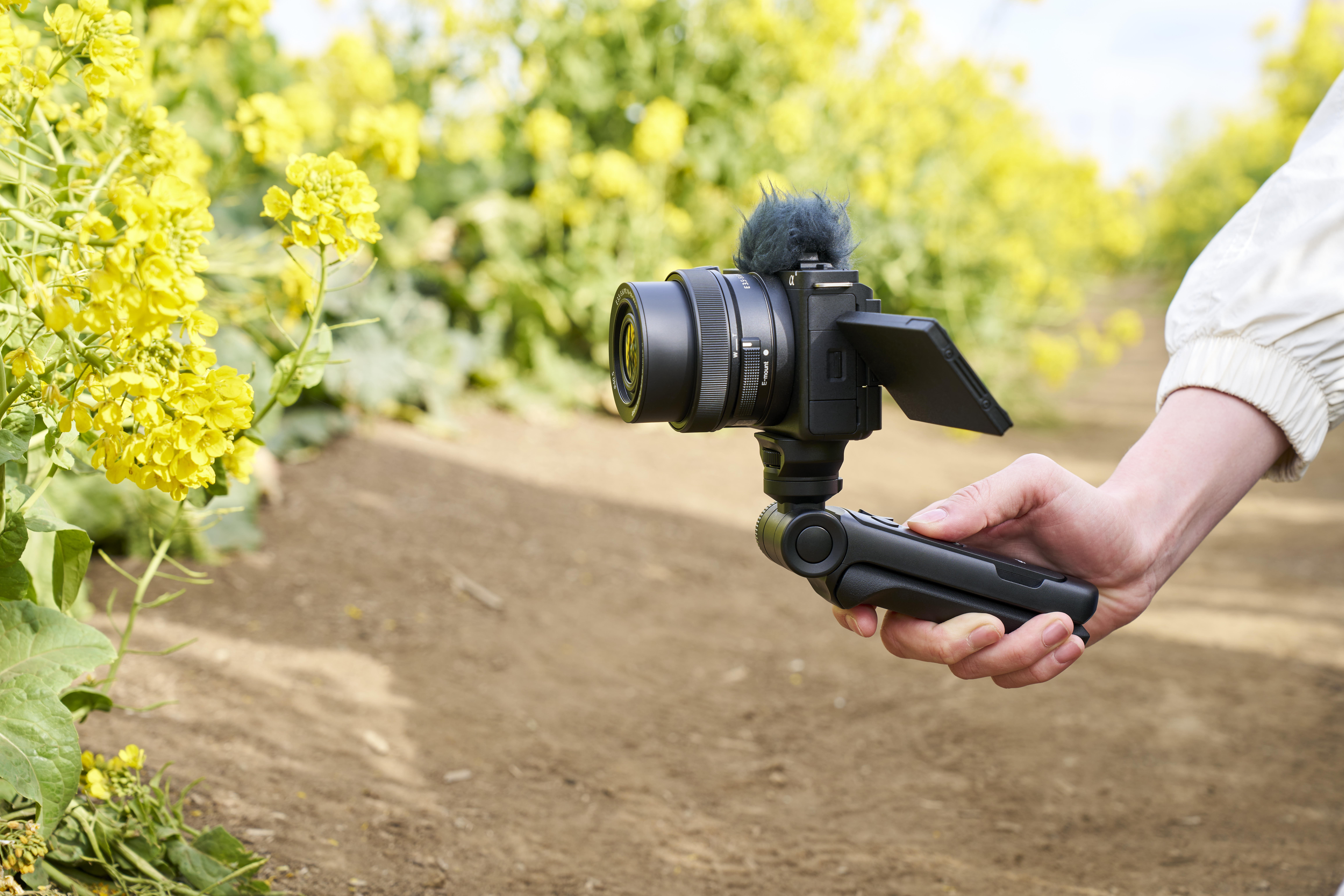 Une personne tient une caméra avec un microphone, filmant dans un champ de fleurs jaunes et de chemins de terre.