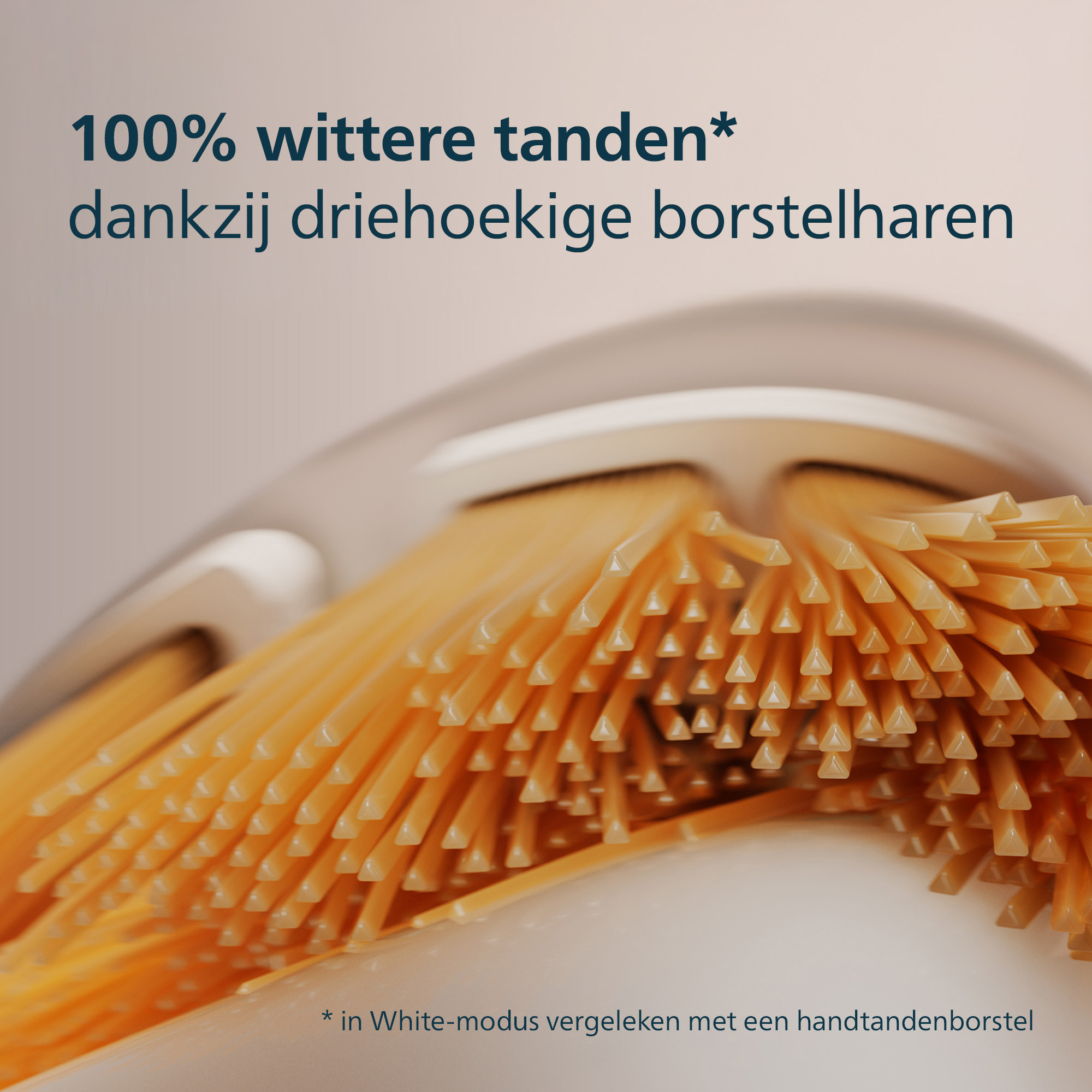 Close-up of toothbrush bristles, text states 100% whiter teeth. Triangular bristles.