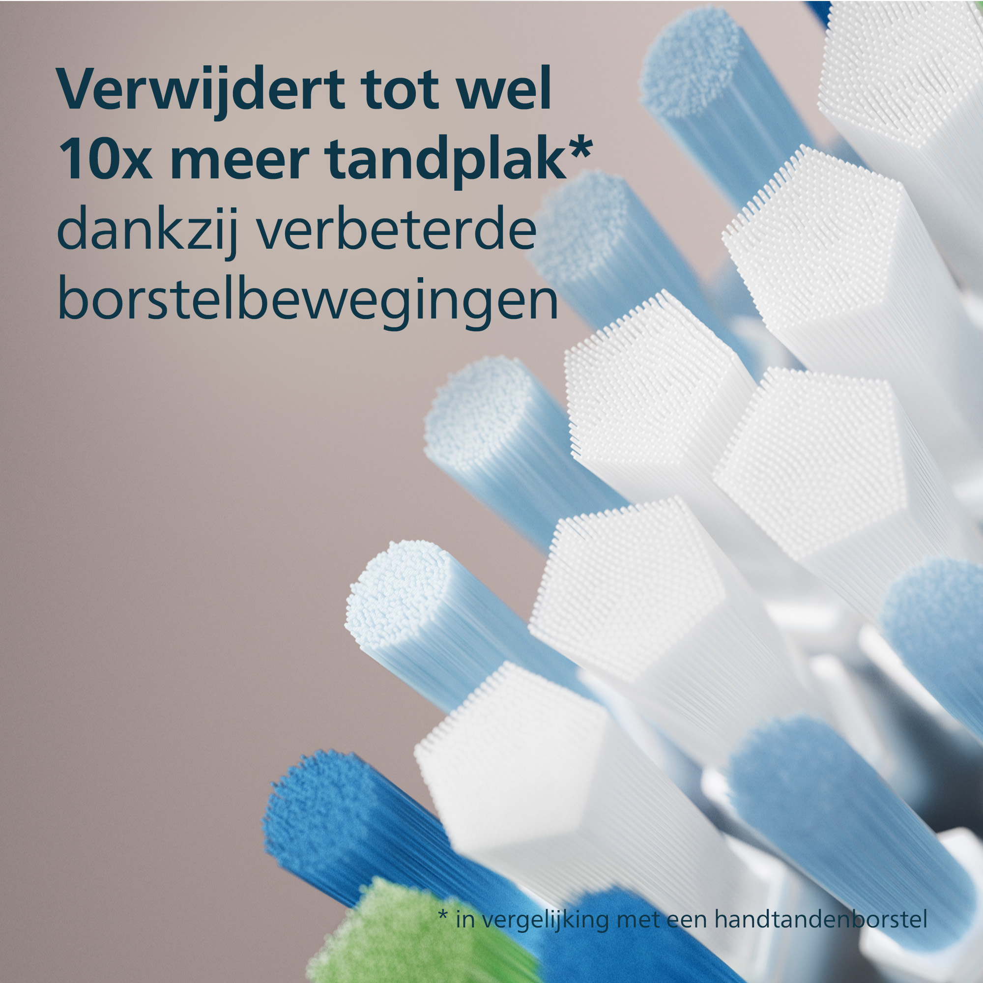 Close-up of toothbrush bristles, blue and white, with text about plaque removal.