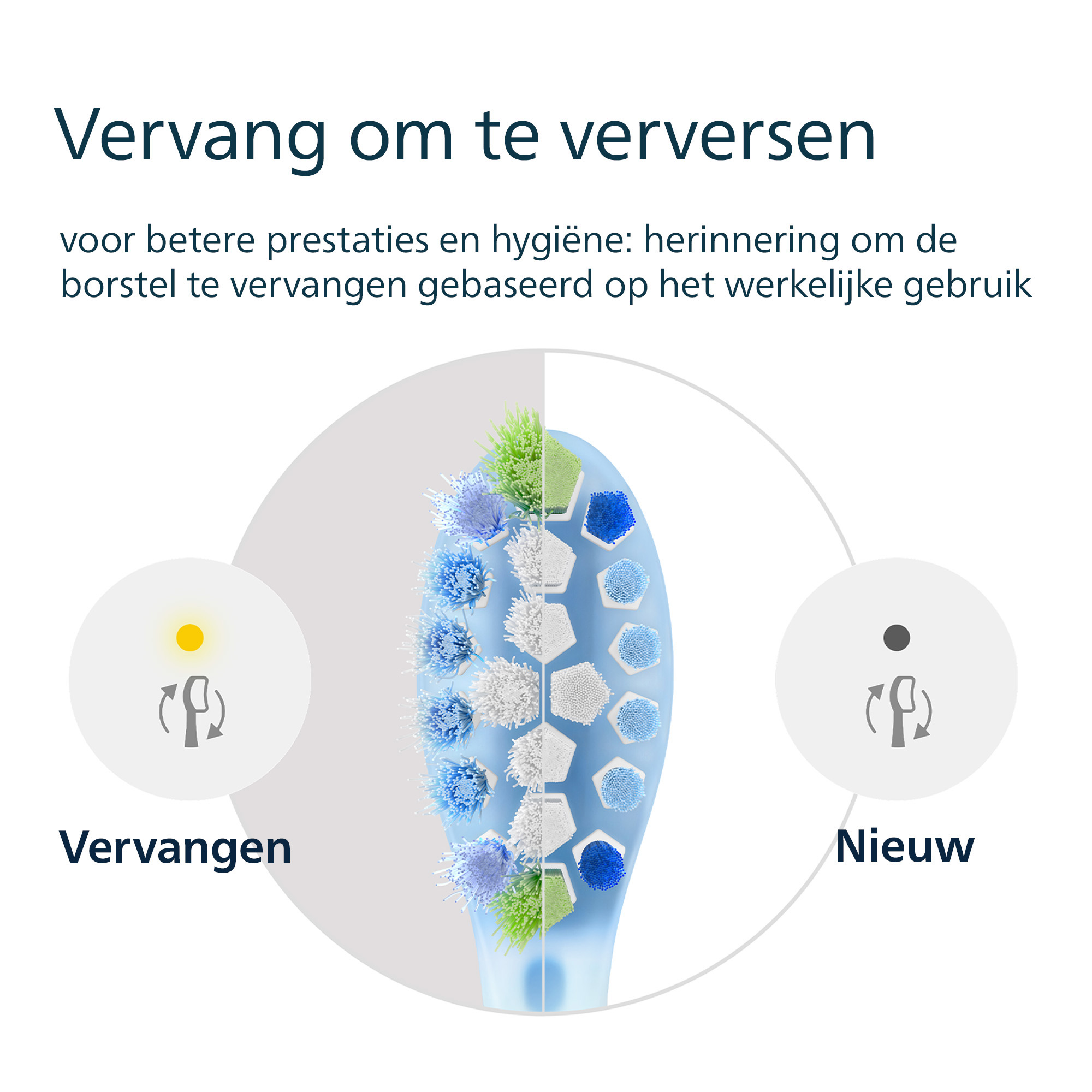 Image shows a toothbrush head, split to show new and used bristles. Text indicates when to replace the brush.