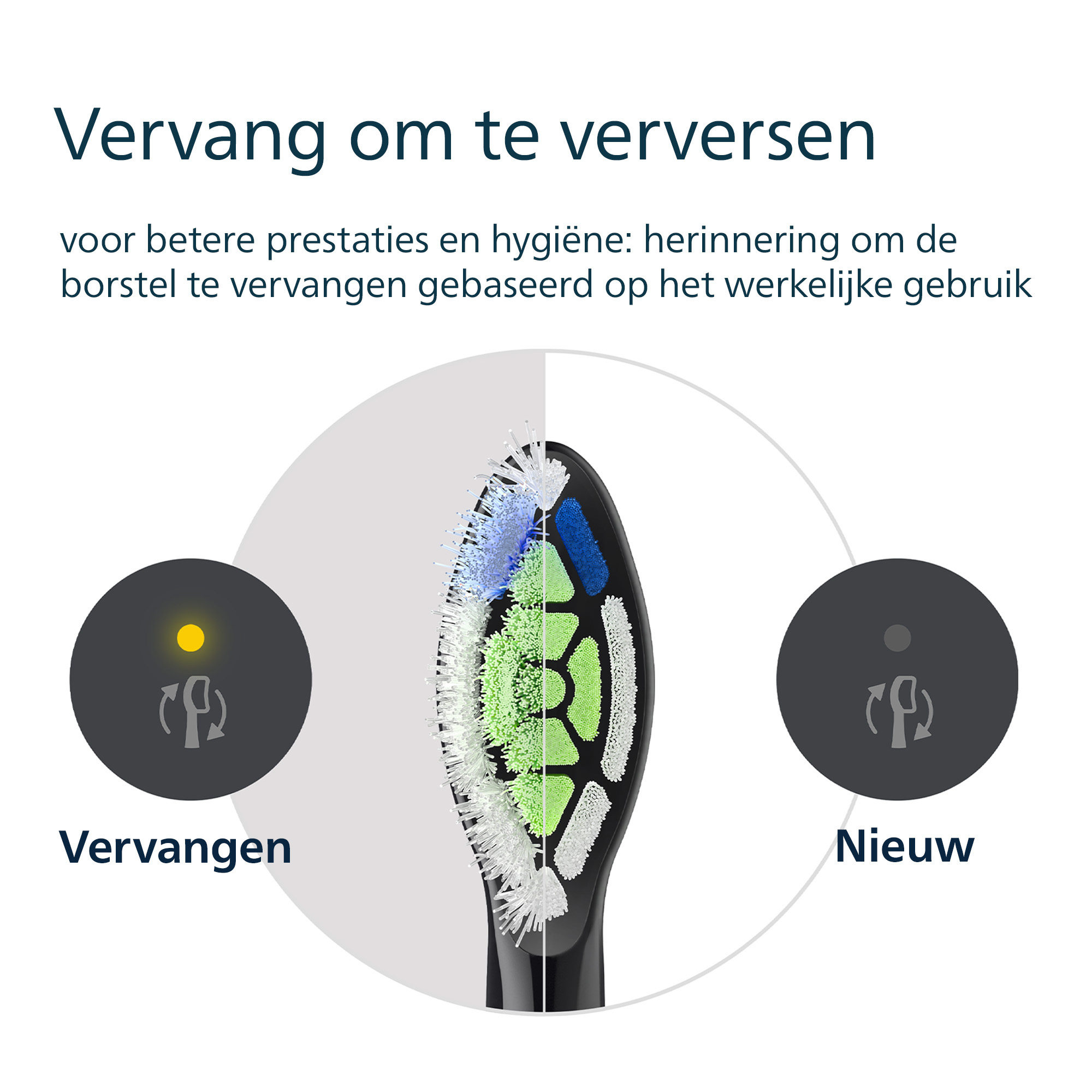 Image shows a toothbrush head, with text indicating replacement and new options. It has a split view of bristles.