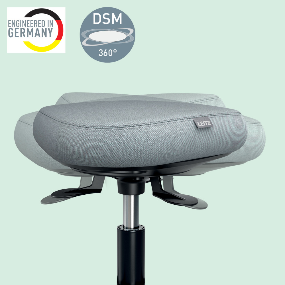 Egy szürke Leitz irodai szék, döntésre tervezve. A háttér halványzöld. A 'Engineered in Germany' és a 'DSM 360°' logók láthatók.