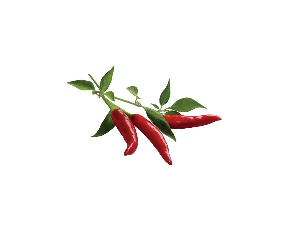 Három piros chili paprika zöld levelekkel fehér háttérben. A paprikák hosszúkásak és vékonyak.
