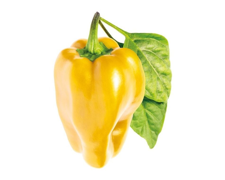 Sárga paprika zöld szárral és levelekkel. A paprika a középpontban, fehér háttérrel.