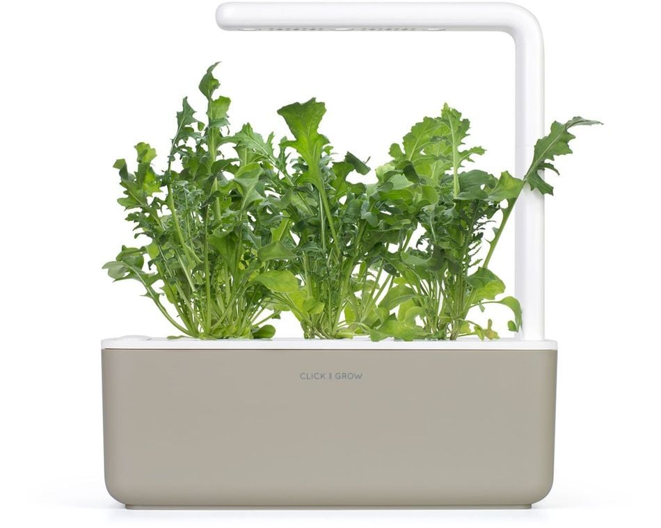 AeroGarden zöld növényekkel. Fehér fény a növények felett. A tartály bézs színű, a 'CLICK & GROW' felirattal.