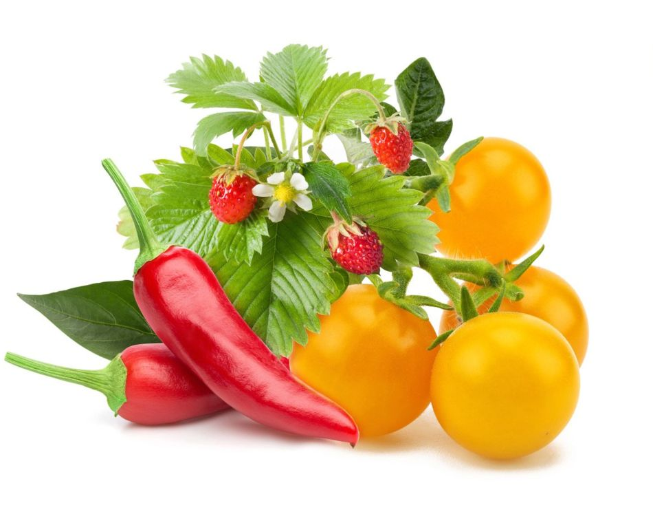 A képen piros chili paprikák, sárga paradicsomok, eprek és zöld levelek láthatók fehér háttér előtt.