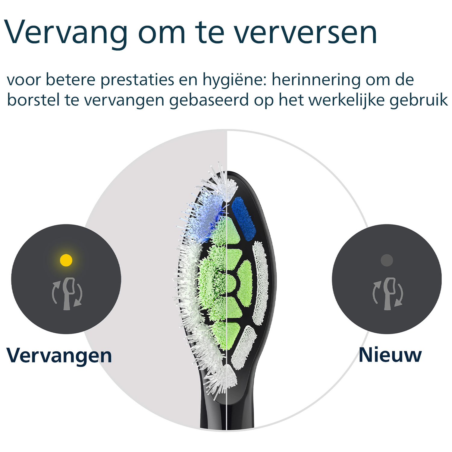 Image shows a toothbrush head with a 'replace' and 'new' section. Colors include green, blue, white, and black with Dutch text.