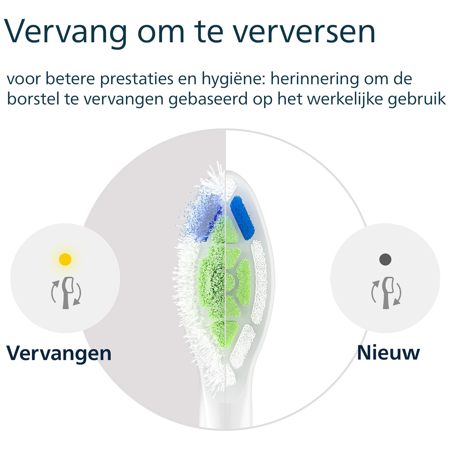 Image shows a toothbrush head with worn bristles and a replacement reminder. Text says 'Replace to refresh'.