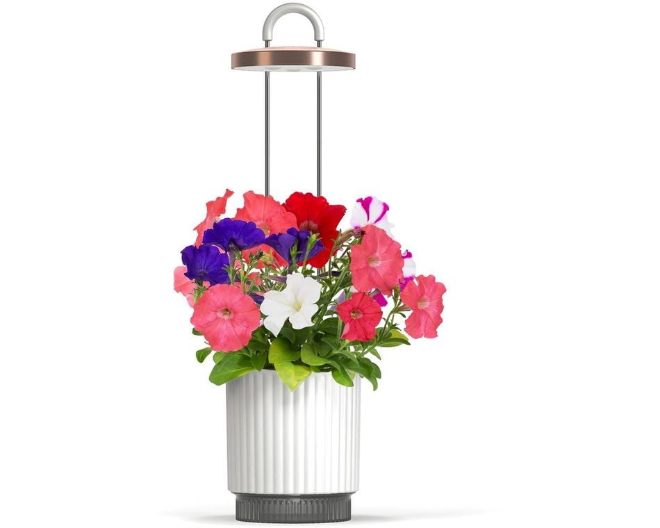 CLICKNGROW Hydrovase okos virágcserép, fehér (CGHVWEU)