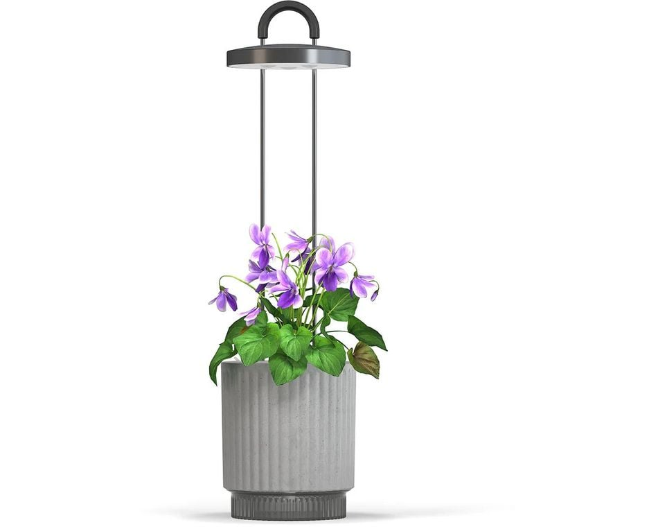 CLICKNGROW Hydrovase okos virágcserép, szürke (CGHVGEU)