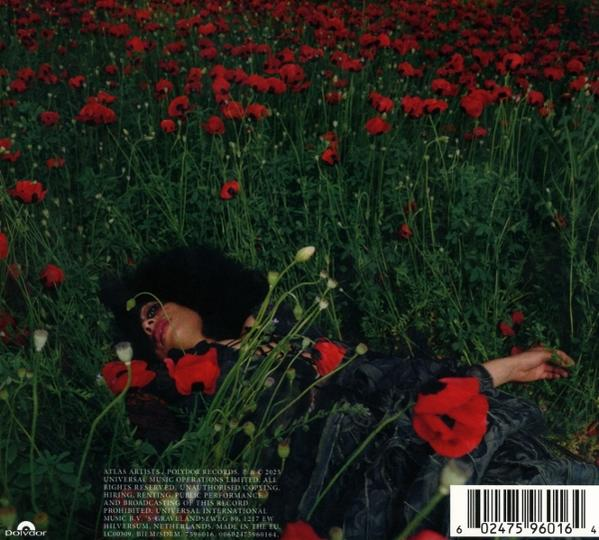 Eine Person liegt in einem Feld roter Mohnblumen. Sie ist von grünem Gras und Blumen umgeben, mit dunkler Kleidung und Haaren.