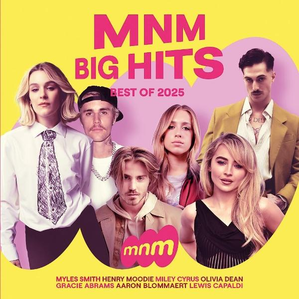 Albumhoes met popartiesten. Gele achtergrond, roze tekst "MNM BIG HITS". Groep mensen, namen onderaan.