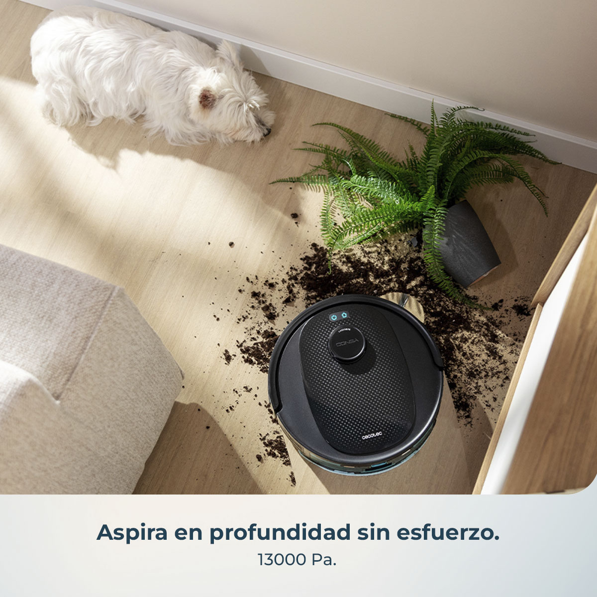 Una aspiradora robot limpia un suelo de madera con tierra derramada de una planta caída. Un perro blanco está cerca.