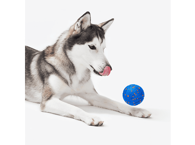 Cheerble Wicked Ball Air Interaktiver Ball für Hunde, Royal Blue Hunde-Spielzeug — Foto 2 von 2