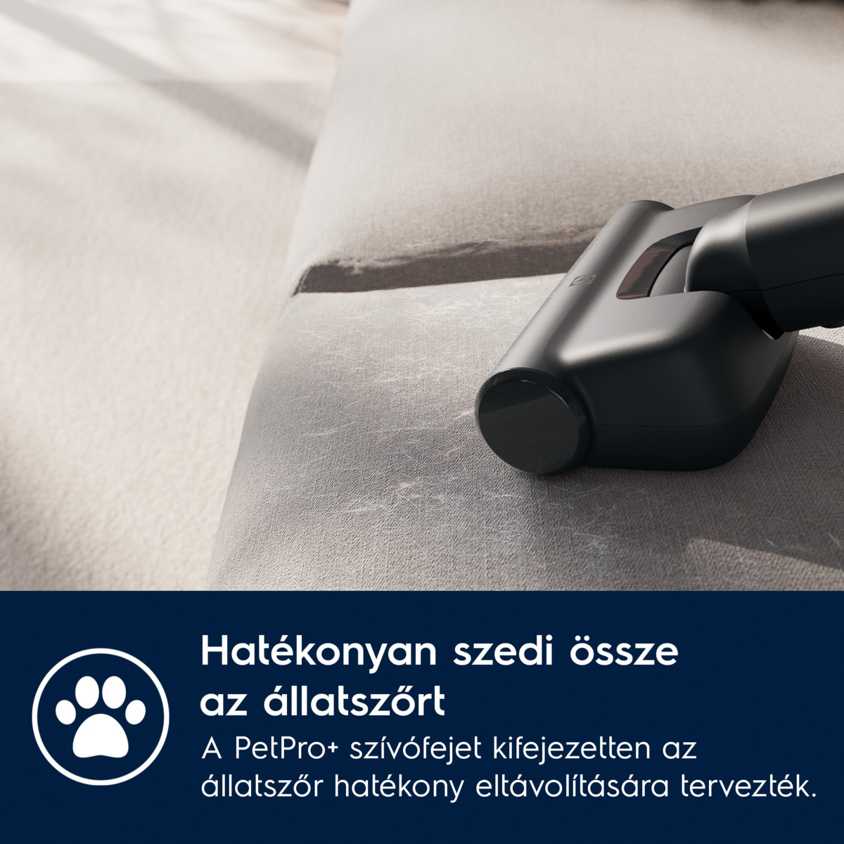 Fekete porszívófej szürke kanapén. Magyar szöveg: 'Hatékonyan eltávolítja az állatszőrt.'