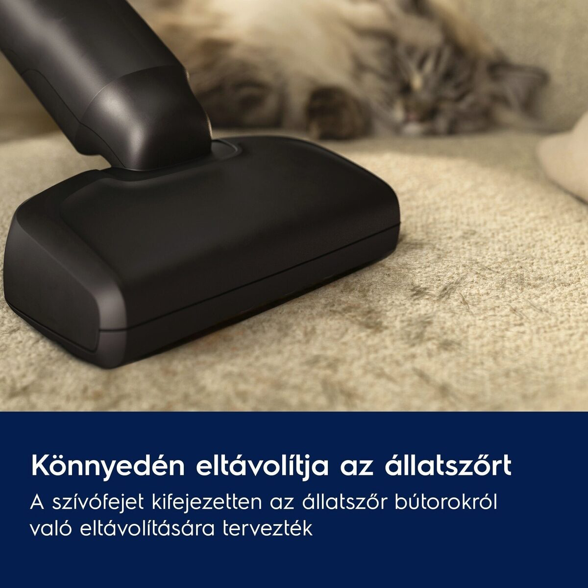 Fekete porszívófej bézs szőnyegen, homályos macskával a háttérben. Magyar nyelvű szöveg alul.