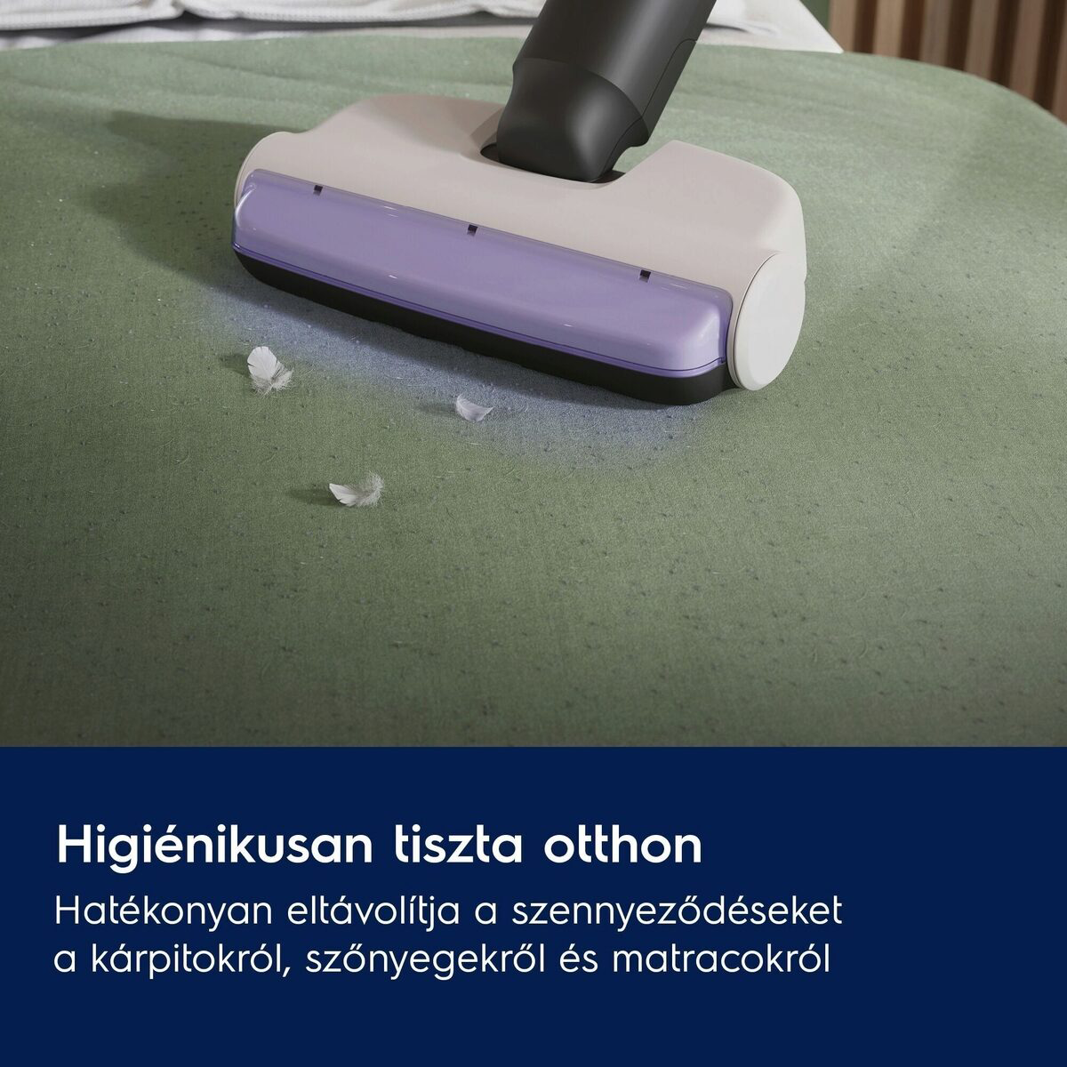 Egy porszívófej zöld felületet tisztít. Fehér tollak szanaszét. Az alsó szöveg az otthoni tisztaságot népszerűsíti.