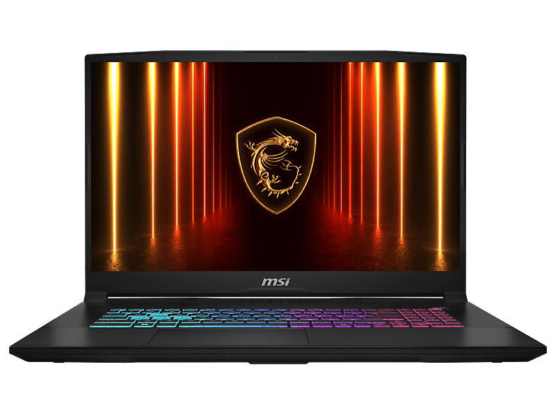 MSI Katana 17 HX B14WFK-244 Gaming Notebook, 17,3 Zoll, Full-HD, Intel® Core™ i7 Prozessor 14650HX, 16 GB, 1 TB, Windows 11 Home, GeForce RTX™ 5060