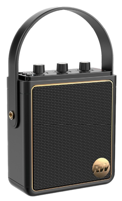Czarny głośnik przenośny z uchwytem, złotą obwódką i siatkowym przodem. Ma pokrętła u góry i logo po prawej stronie.