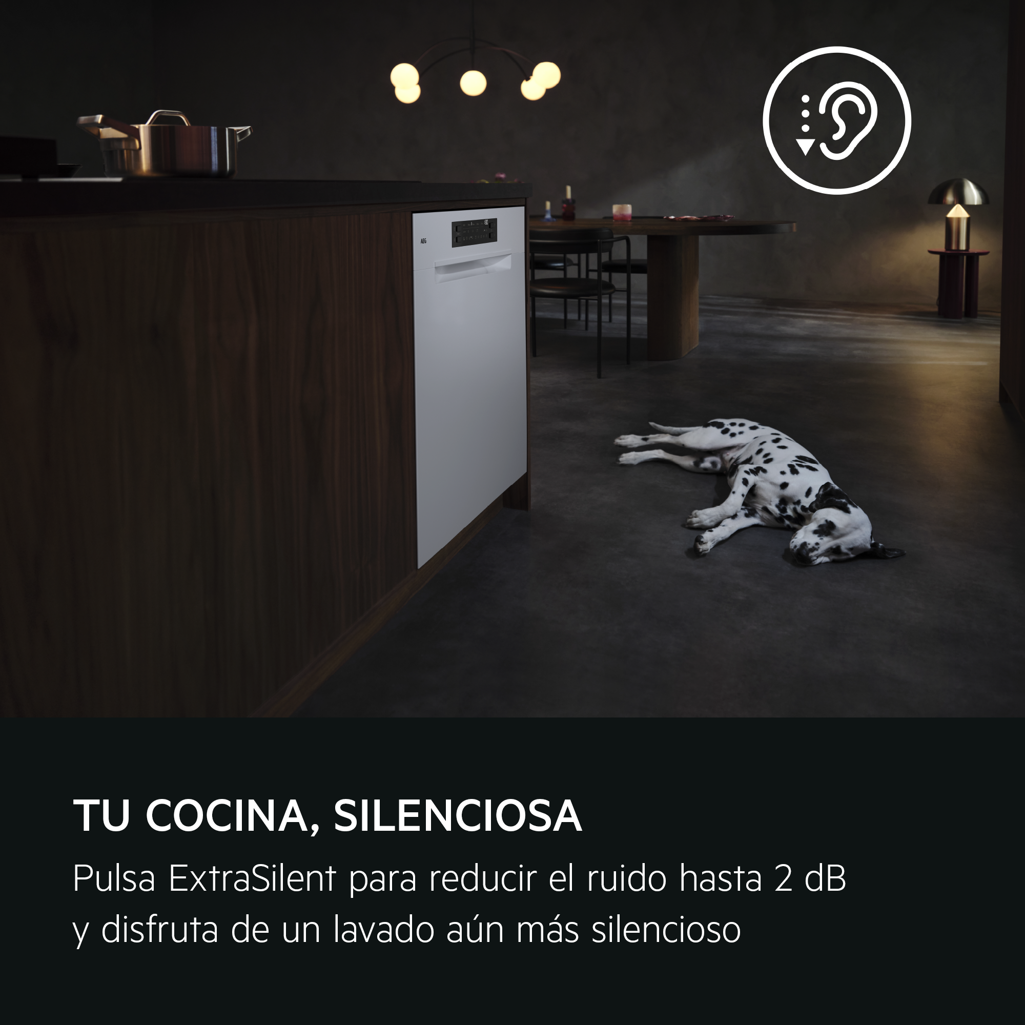 Una cocina con lavavajillas, un dálmata durmiendo y texto que dice: TU COCINA, SILENCIOSA.
