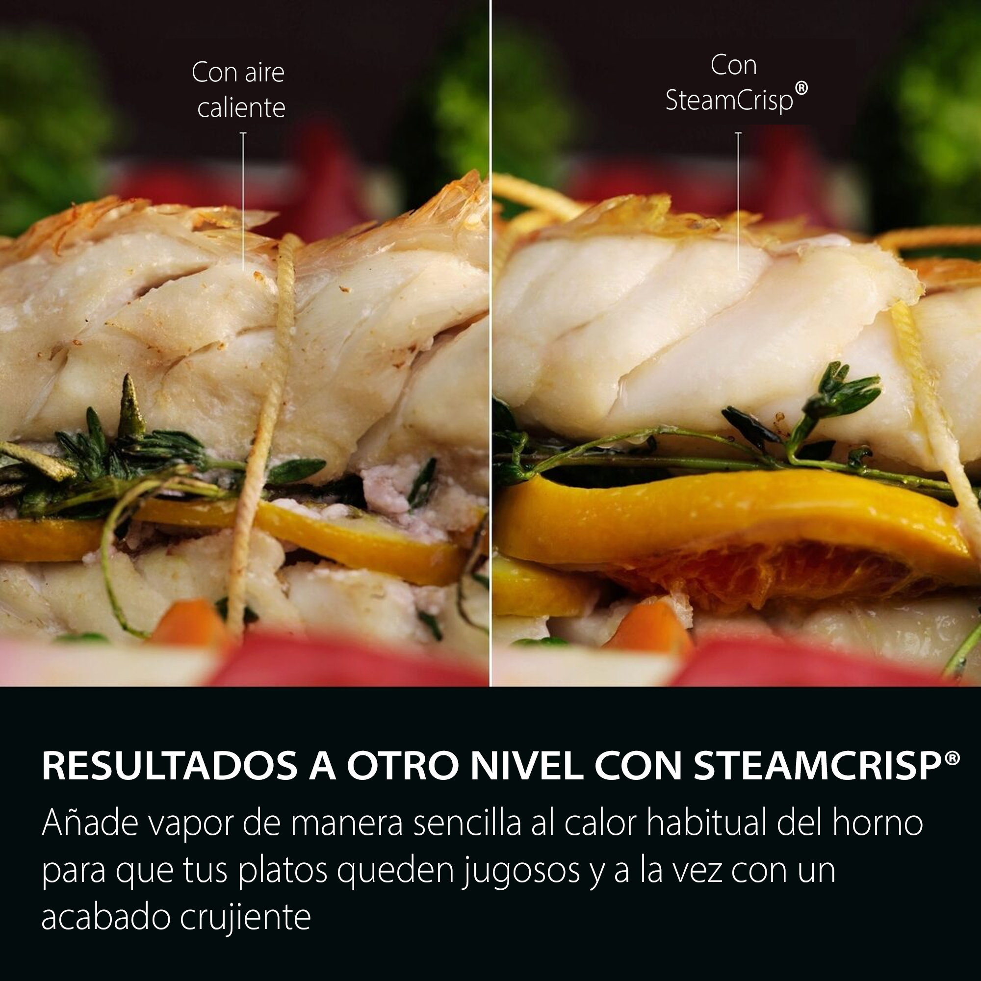 La imagen muestra dos mitades de rollos de pescado. Uno con aire caliente, el otro con vapor crujiente. Ambos tienen cítricos y hierbas.