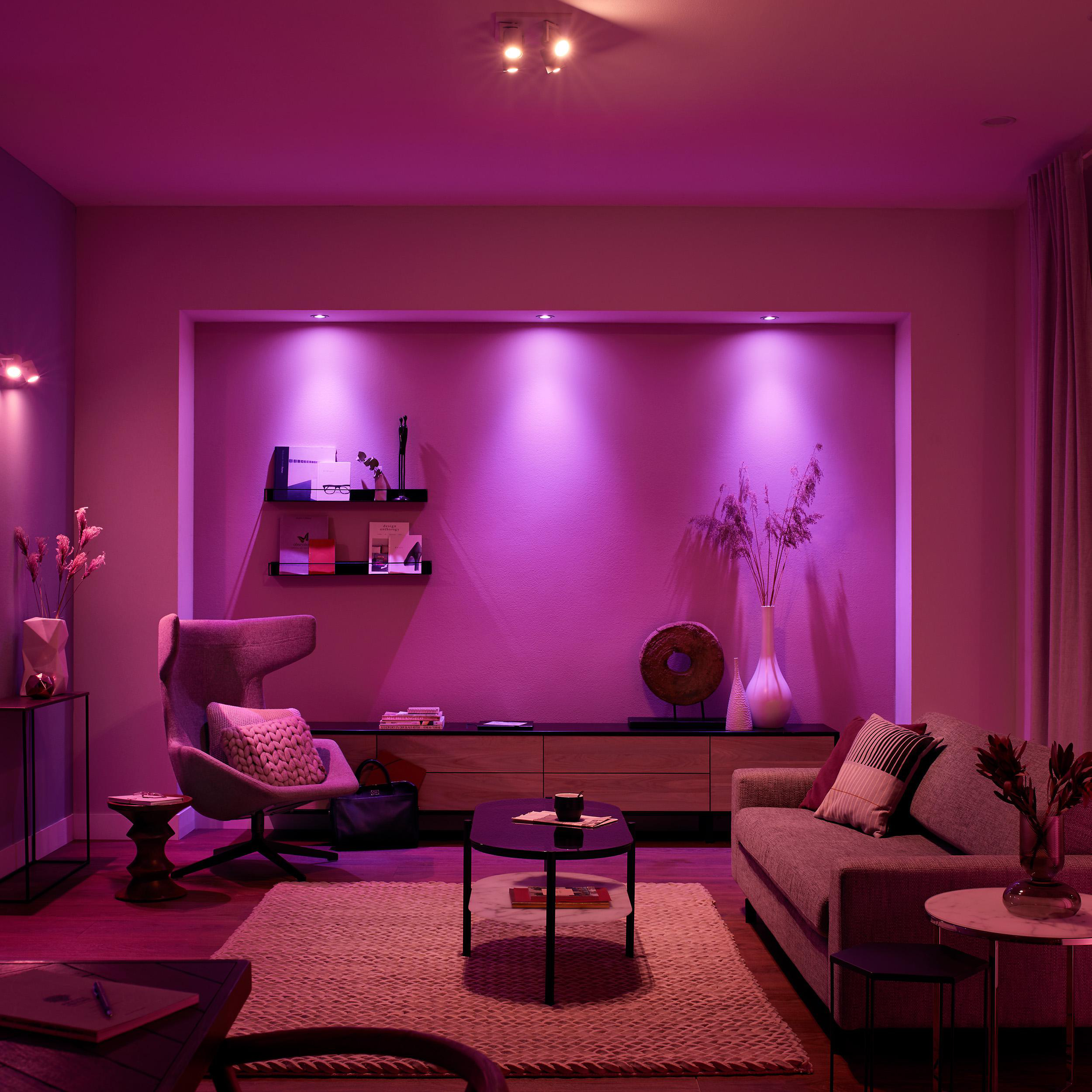 Wohnzimmer mit lilafarbener Beleuchtung. Sofa, Stuhl, Tische, Teppich und Dekorationsartikel. Bücher und Pflanzen sichtbar.