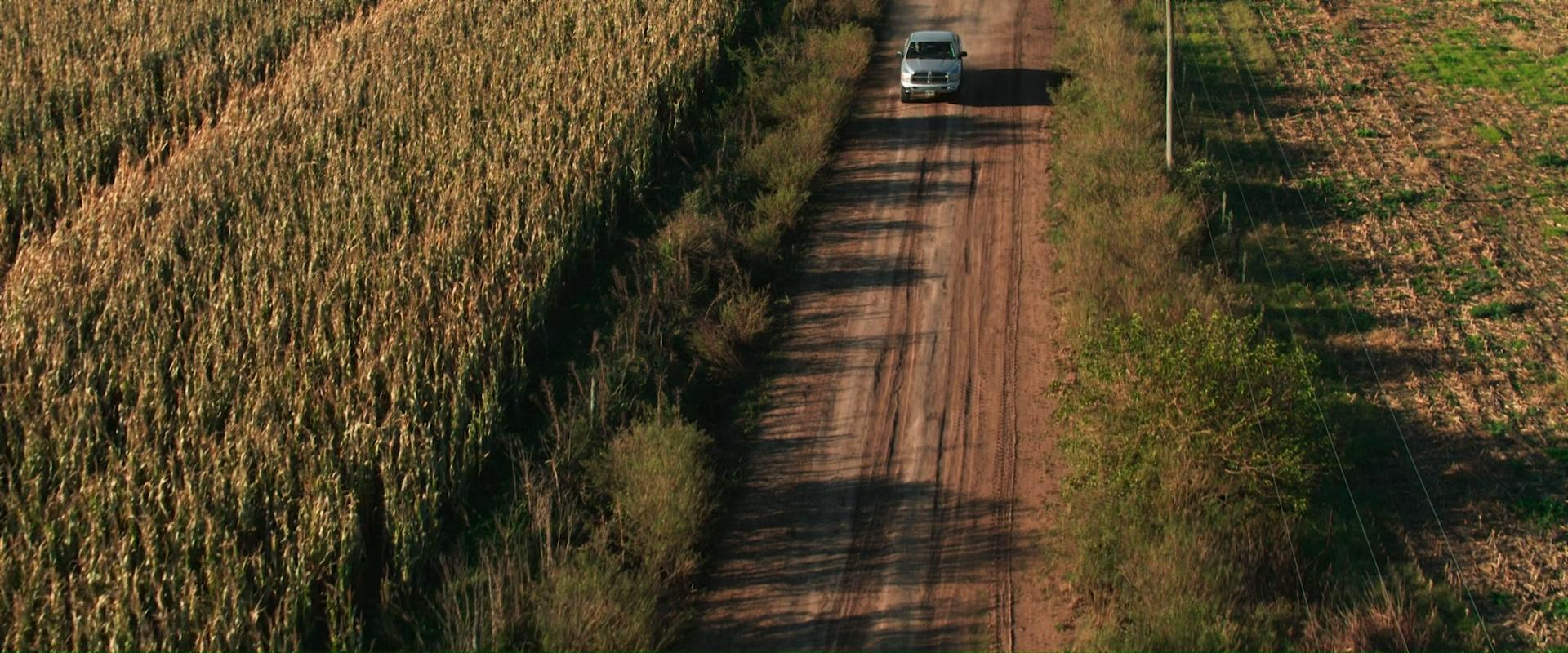 Eine unbefestigte Straße mit einem silbernen Transporter, der durch ein Feld mit Nutzpflanzen fährt.