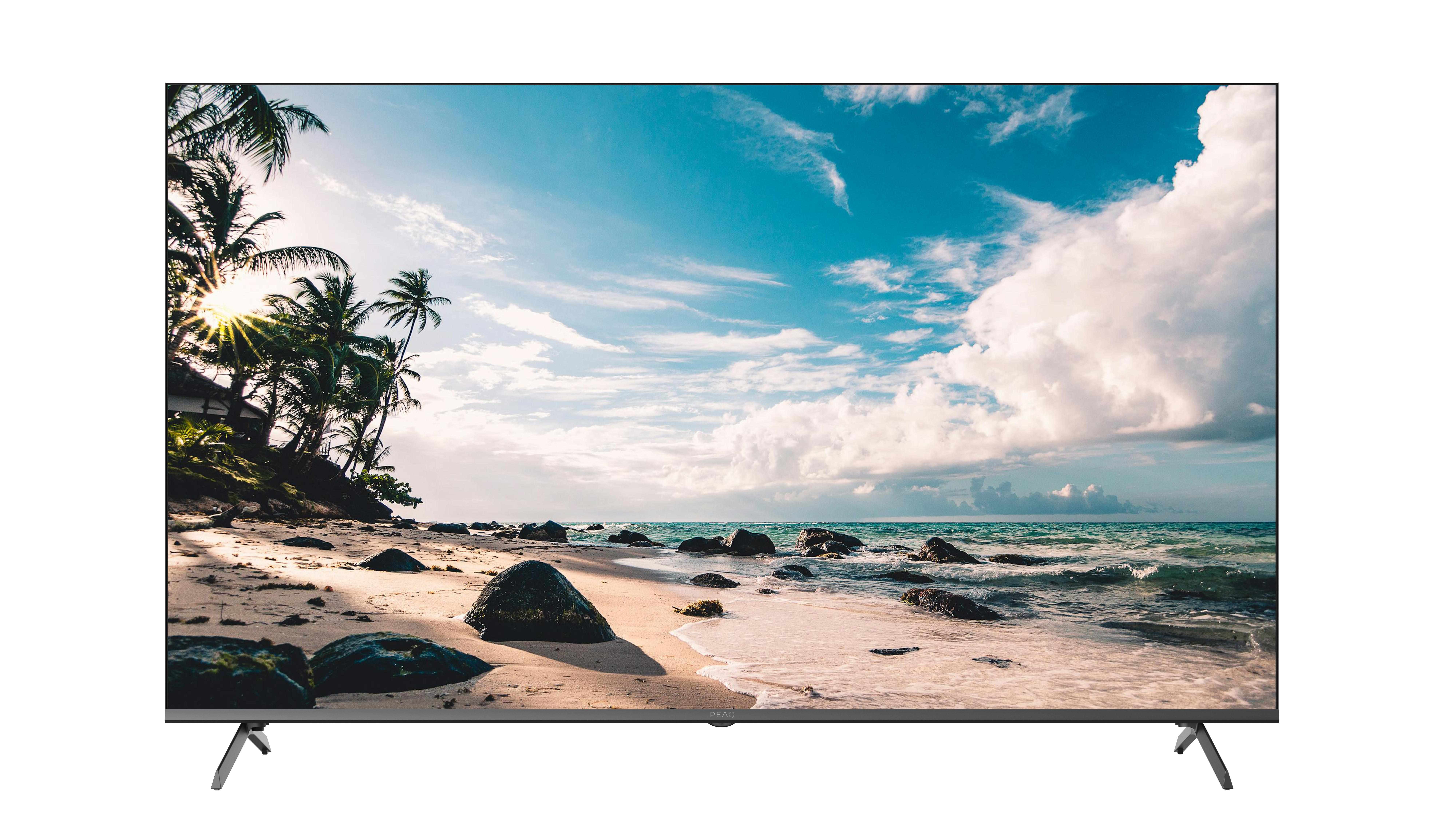 Strandszene mit Palmen, Felsen und Wellen unter hellem Himmel, auf einem Fernsehbildschirm dargestellt.