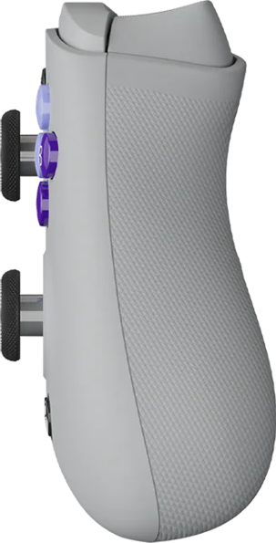 Seitenansicht eines grauen Gamecontrollers. Er hat lila Knöpfe und schwarze Analogsticks. Der Griff hat ein strukturiertes Muster.