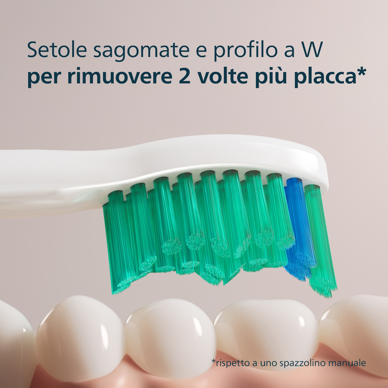 Primo piano di uno spazzolino con setole verdi e blu. Sotto ci sono denti bianchi. Il testo recita: setole sagomate e profilo a W.