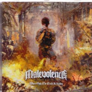 Figur in Flammen, Rücken abgewandt. Titel: Malevolence. Text: Wo nur die Wahrheit gesprochen wird. Gebrannt-oranger und brauner Hintergrund.
