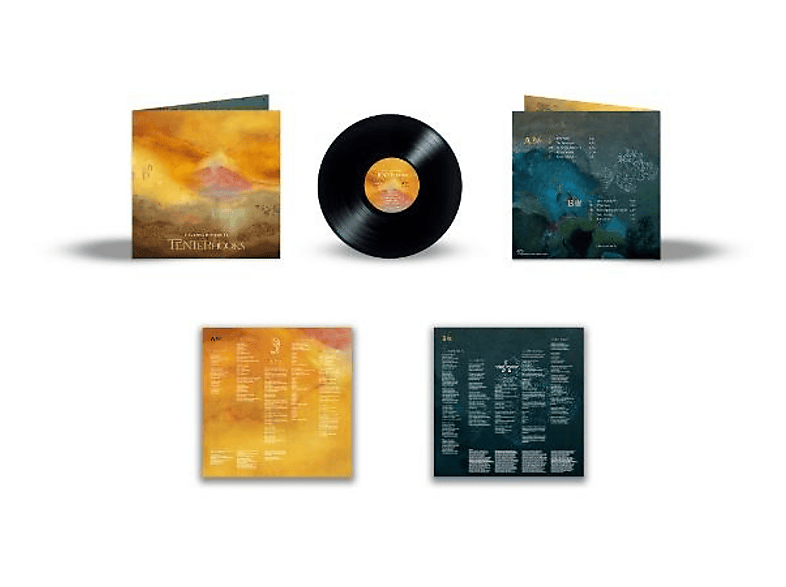 Silversun Pickups - Tenterhooks - (Vinyl)