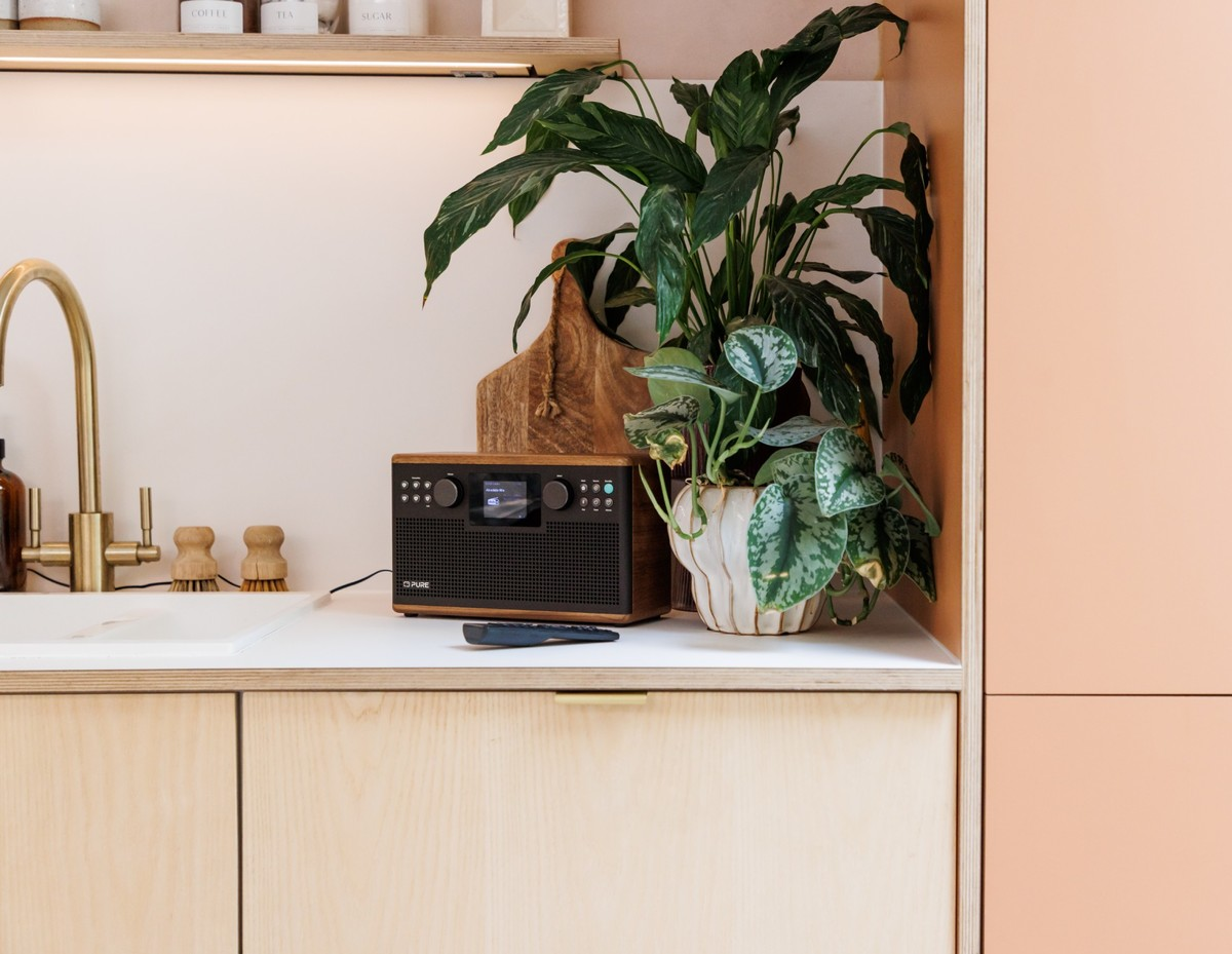 Une scène de cuisine avec une radio, des plantes et des meubles en bois. Un robinet doré en arrière-plan. Une télécommande à côté de la radio.