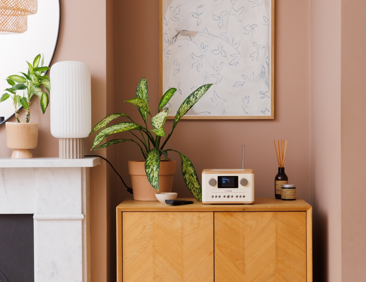 Salon : plantes, radio et cadre photo sur une armoire en bois, lampe sur une cheminée et un miroir.