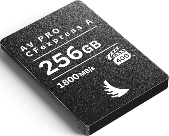 Una scheda CFexpress A nera con testo bianco. Dice 'AV PRO', '256GB' e '1800 MB/s'. Un logo è in basso a destra.