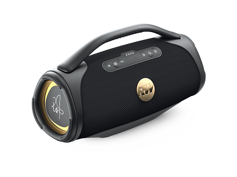 Peaq PPA 700-RW Iconic Vibe 4 Bluetooth Speaker