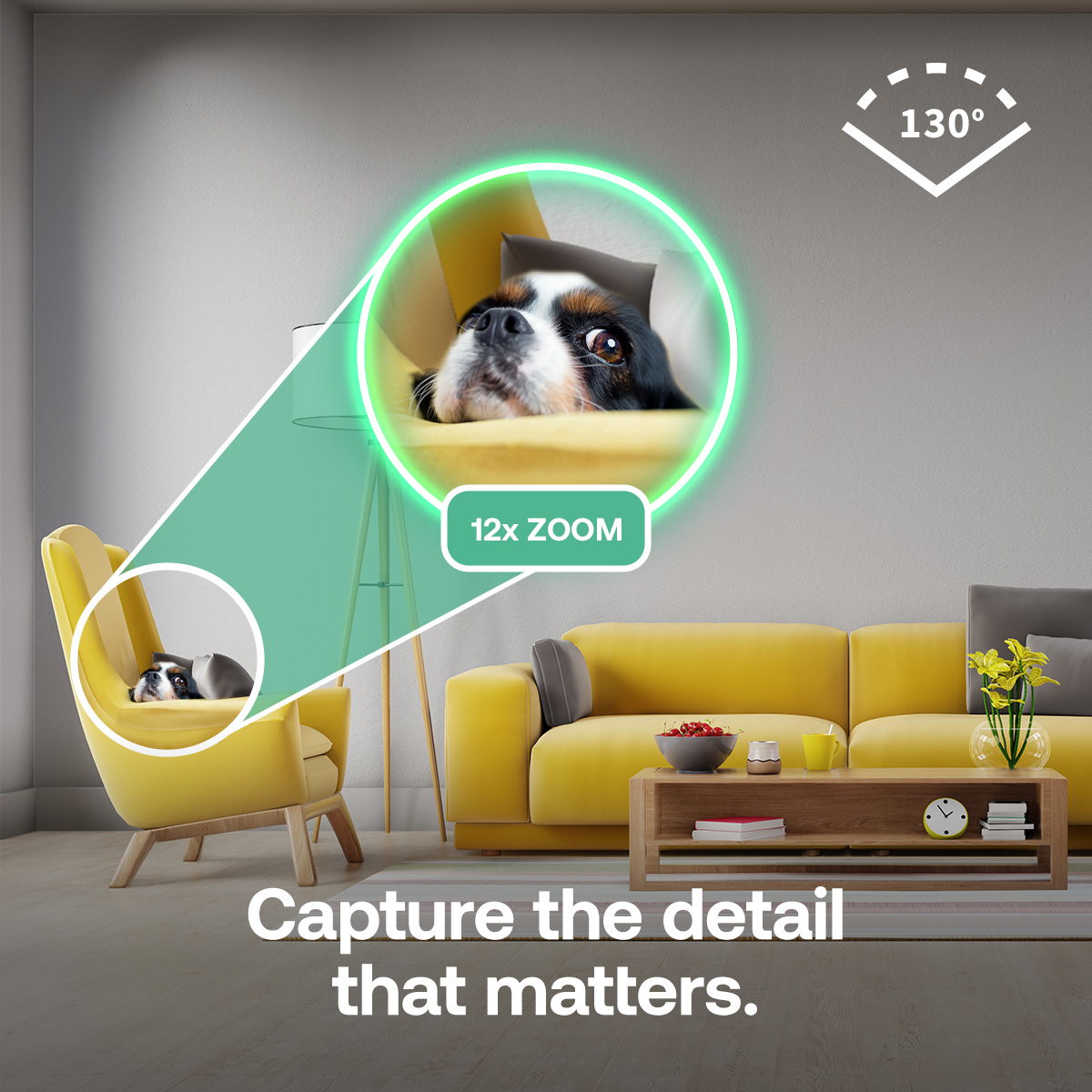 Ein Hund blickt über einen gelben Stuhl. Die Szene umfasst ein gelbes Sofa, einen Holztisch mit Deko und den Text "Erfassen Sie das Detail, das zählt."