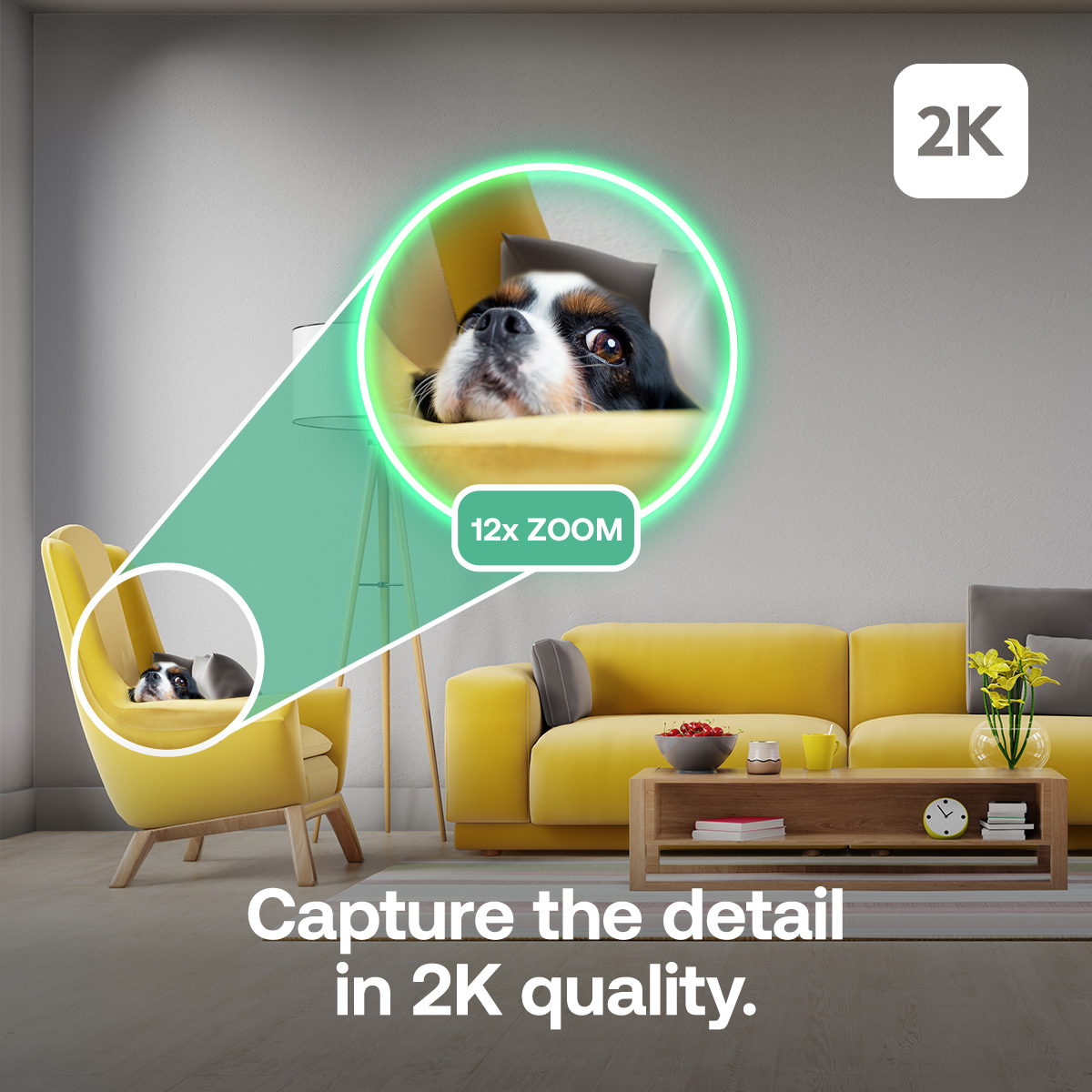 Ein Hund blickt über einen gelben Stuhl. Das Bild zeigt ein Wohnzimmer mit gelbem Sofa, Tisch und dem Text 'Capture the detail'.