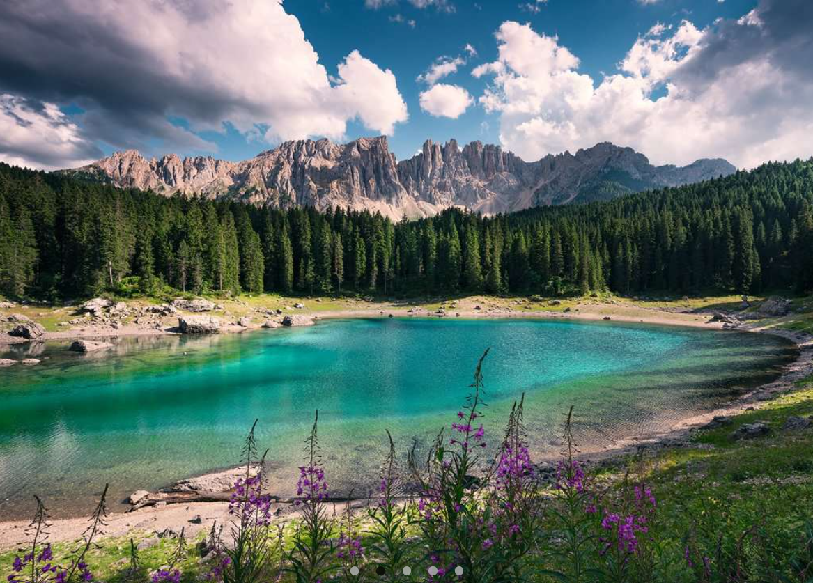 Ein malerischer See mit türkisfarbenem Wasser, umgeben von grünen Bäumen und Bergen. Im Vordergrund lila Blumen unter bewölktem Himmel.