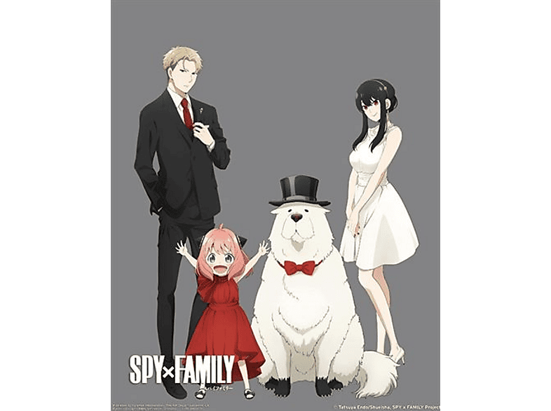 Póster 3D - Sherwood Spy X Family, Enmarcado, Licencia oficial