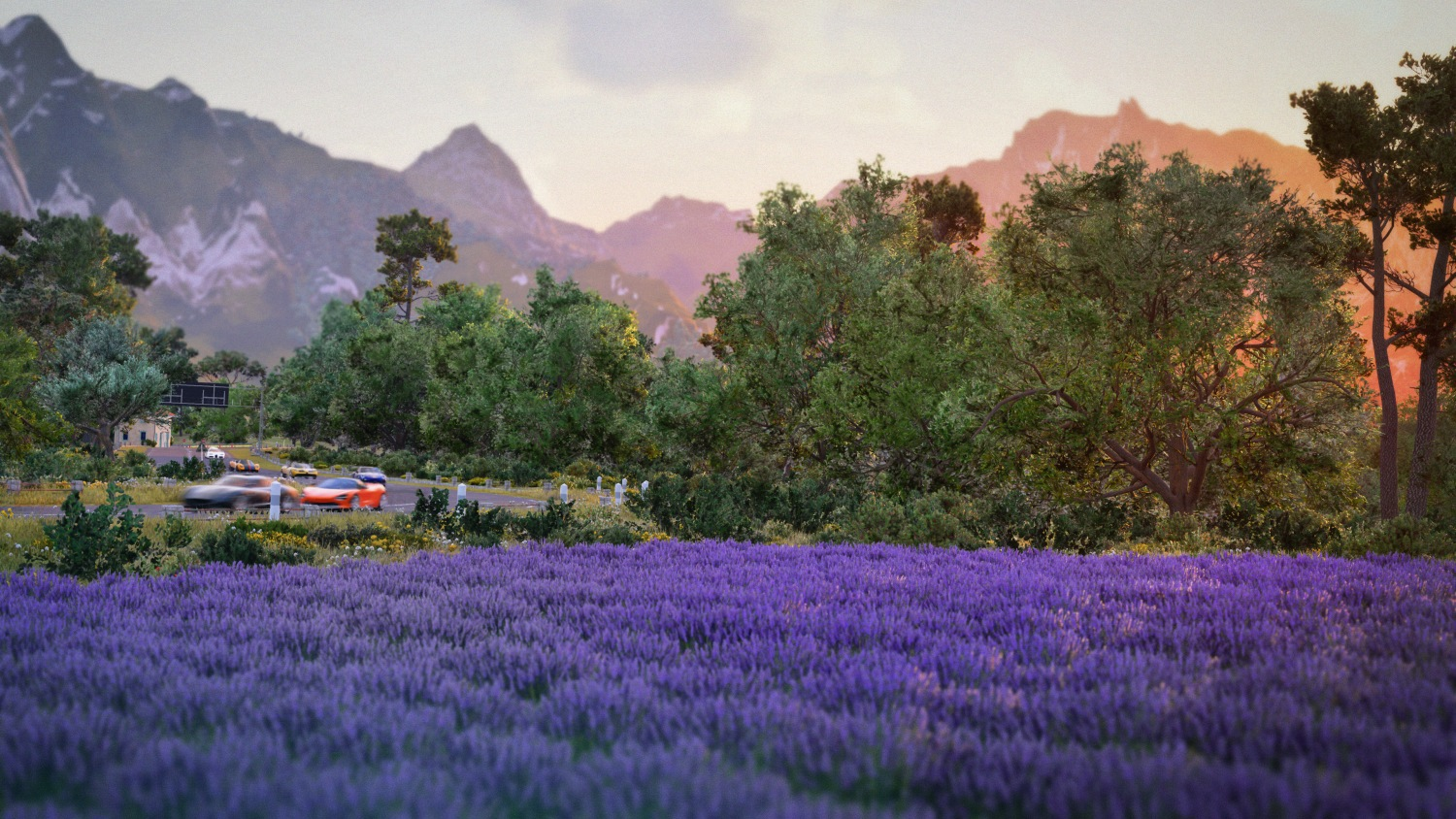 Ein Feld mit lila Blumen im Vordergrund. Autos auf einer Straße, Berge und Bäume im Hintergrund, Sonnenuntergang.