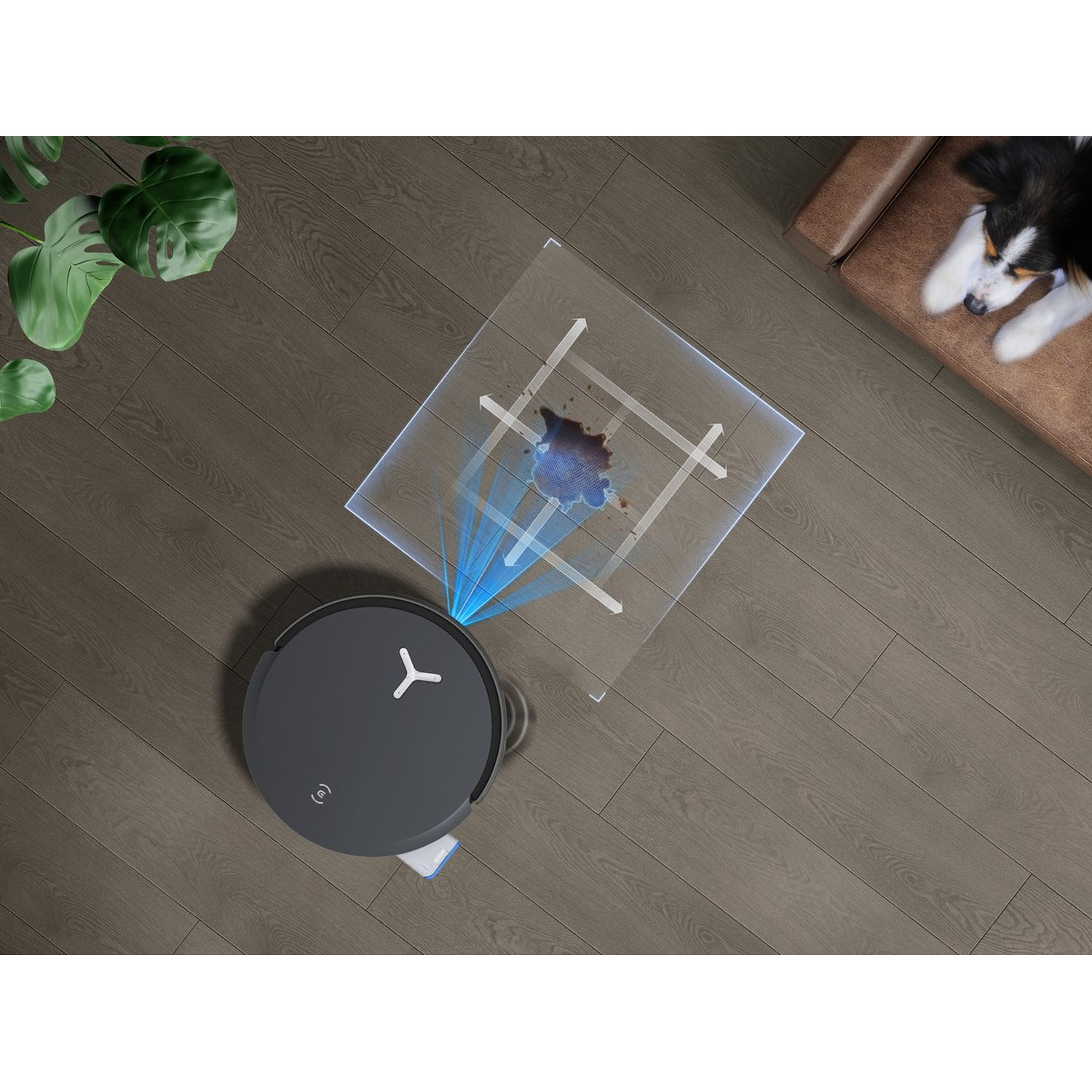 Un robot aspirateur nettoie une tache sur une table en verre. Un chien se repose sur un canapé marron. Plancher en bois avec plante à gauche.