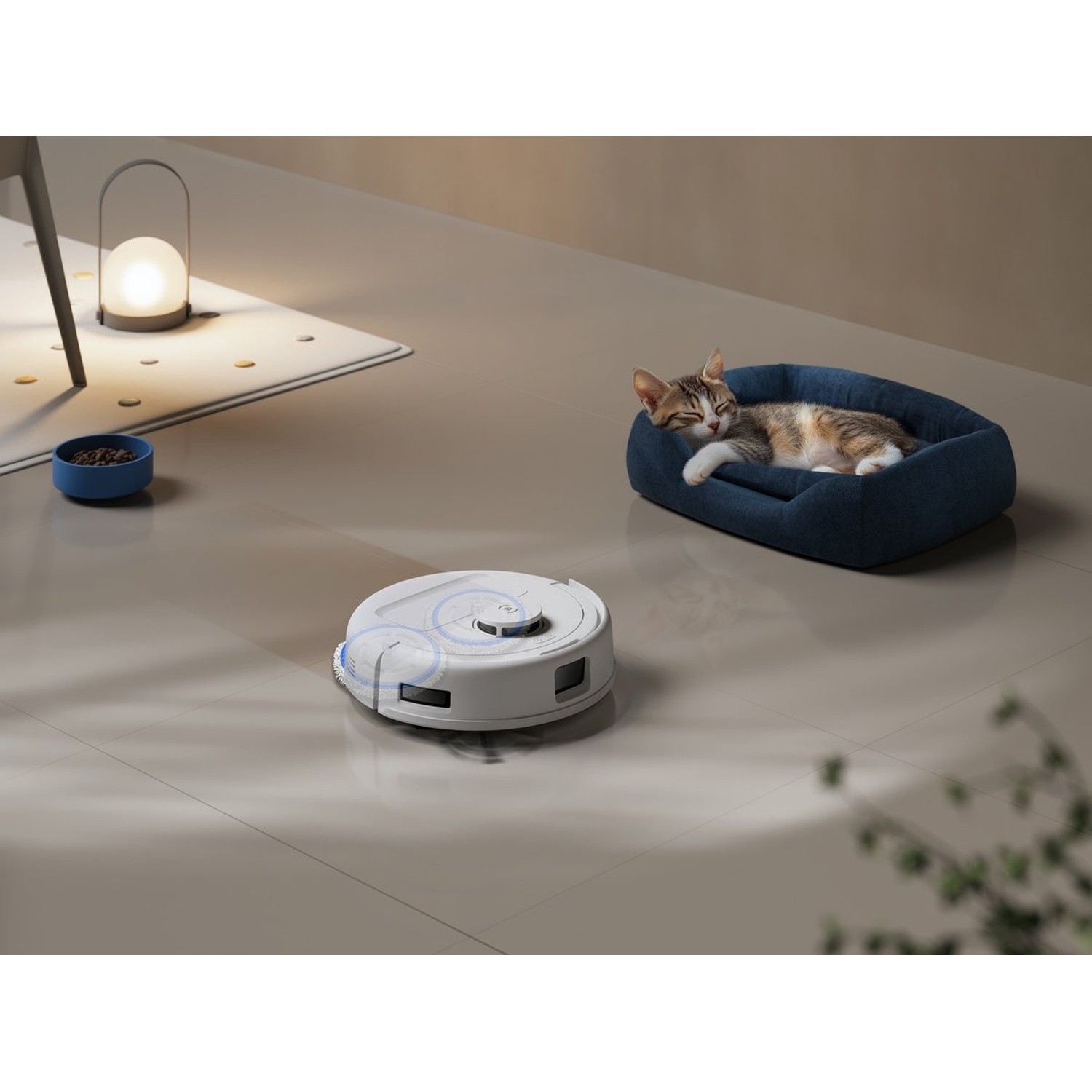Un aspirateur robot nettoie le sol. Un chat dort dans un lit bleu. Une lampe et un bol sont également présents.