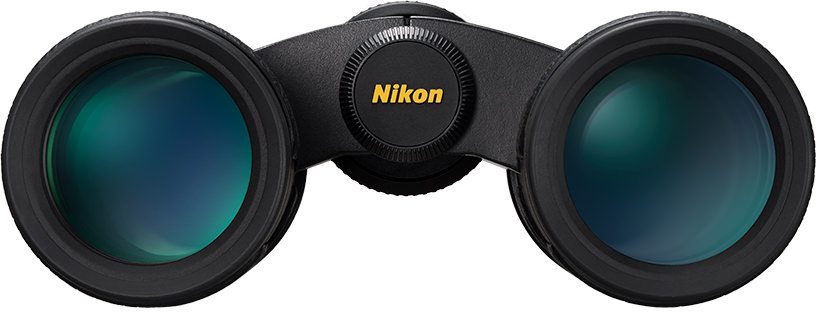 Nahaufnahme eines Nikon-Fernglases, schwarz mit gelbem Logo. Die Linsen reflektieren einen grünen Farbton. Das Fernglas ist einsatzbereit.